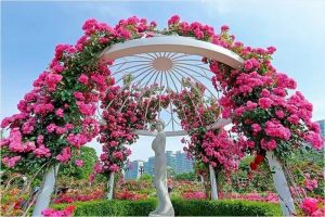 Lịch trình siêu chi tiết “Lễ hội hoa Đà Lạt 2019”