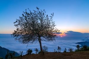 Săn mây – Trải nghiệm “cực phiêu” ở vùng cao nguyên