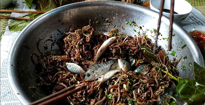 món ăn Việt Nam mà nhiều người không dám thử phải kể đến gỏi cá nhảy