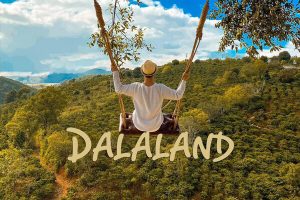 Đường đến Dalaland – Rừng cổ tích giữa lòng Đà Lạt
