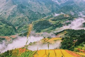 Cao nguyên đá Đồng Văn – Vẻ đẹp hoang sơ giữa miền sơn cước
