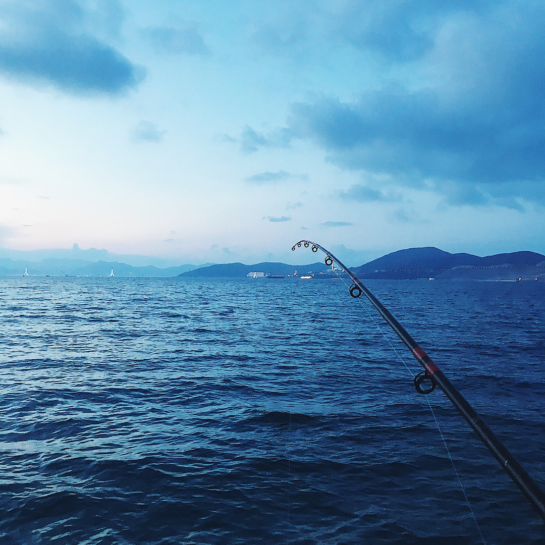 câu mực đêm tại hòn rơm phan thiết cũng là một hoạt động rất phổ biến tại đây