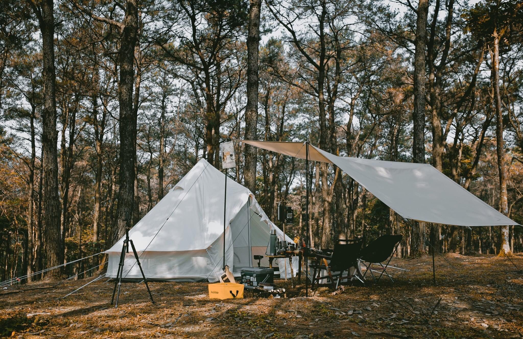Cắm trại trong vườn quốc gia Ba Vì Hà Nội là trải nghiệm hết sức thú vị