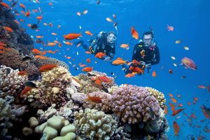 Lưu gấp bí kíp lặn ngắm san hô ở Phú Quốc cho người mới đi lần đầu